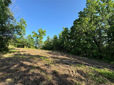 0 Conway Rd unit MAR24032740, Dixon, MO 65459 - photo 4