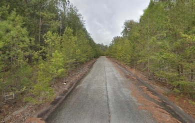 18 Skyline Dr, Braswell, GA 30153 - photo 2