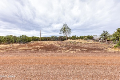 photo (3) 8427 Snowflake Cir Land Hunter