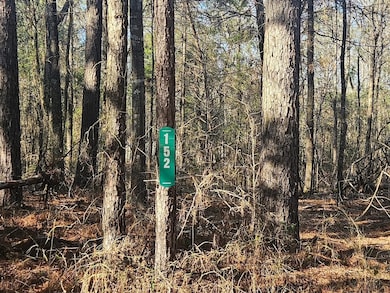 152 County Road 4247, Pittsburg, TX 75686 - photo 3