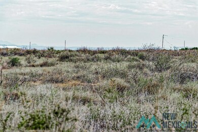 0 Siesta Rd SE unit 20235794, Deming, NM 88030 - photo 5