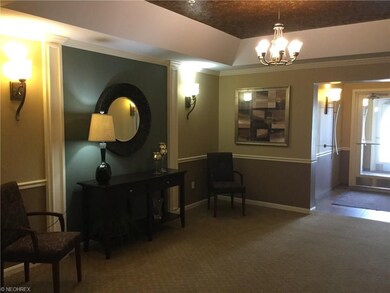 1008 Aqua Marine Blvd unit 46, Avon Lake, OH 44012 - photo 2