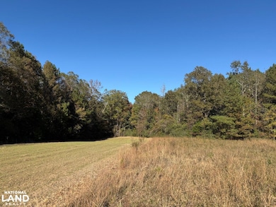 0 County Road 372, Elba, AL 36323 - photo 6