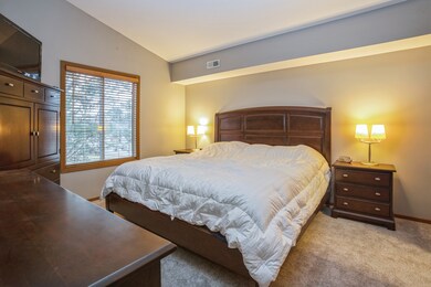 1718 Chesapeake Ln unit 8, Schaumburg, IL 60193 - photo 6