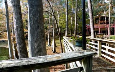 27822 23rd Place, Branford, FL 32008 - photo 6