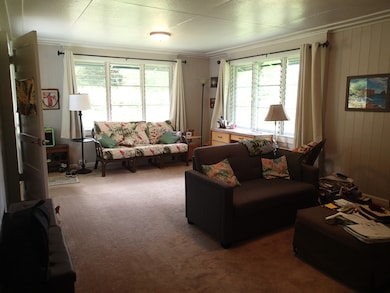 17-4100 Kukui Camp Rd, Mountain View, HI 96771 - photo 4