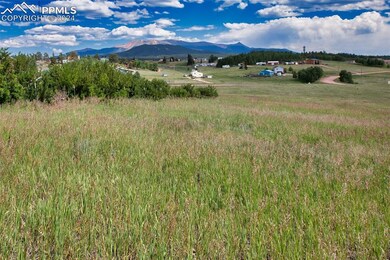 Property view of Pikes Peak