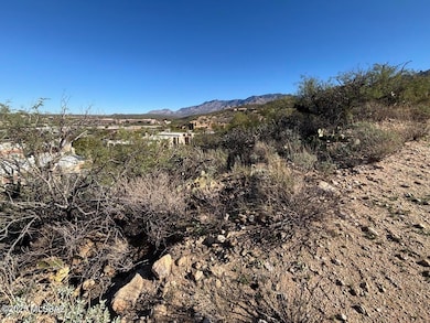 1655 E Buck Ridge Place unit 11, Oro Valley, AZ 85737 - photo 3
