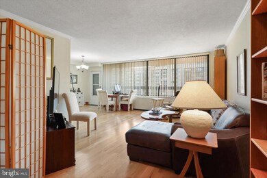 Skyline Plaza unit 2202S, Baileys Crossroads, VA 22041 - photo 7