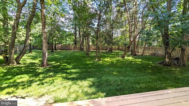 26251 Rachel Hill Dr, Chantilly, VA 20152 - photo 5