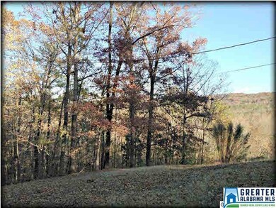 View from Back Porch
