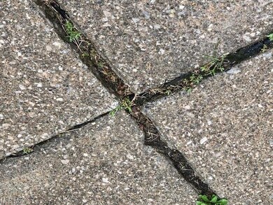 Driveway close up view 1