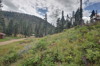 Lots 22 and 23 Hidden Valley Rd, Red River, NM 87558 - photo 3
