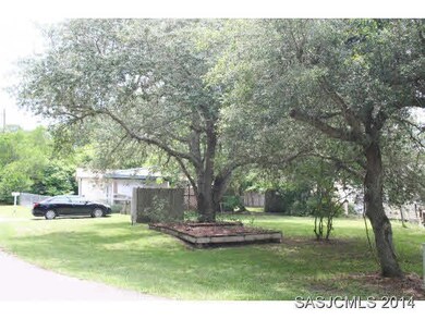 Big Lot with big Trees
