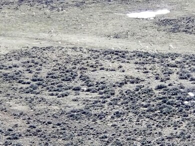 tbd Cr 7, Craig, CO 81625 - photo 6