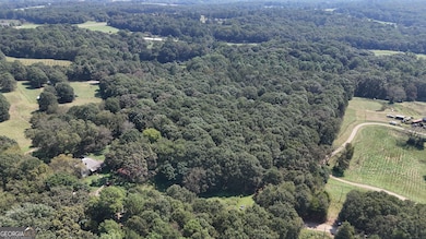 499 Aderhold Rd, Carnesville, GA 30521 - photo 3