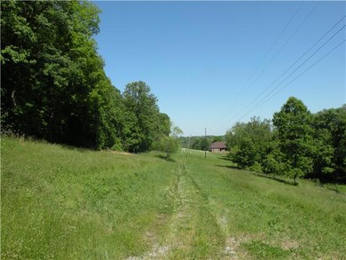 The road up to the land; Building site could have an incredible view