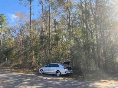 0 Forest Hills Ln unit 660957, Milton, FL 32570 - photo 6