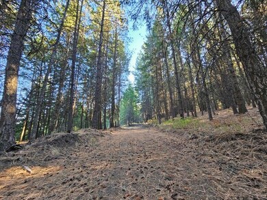 25XX Burgess Rd unit Parcel A, Addy, WA 99101 - photo 5