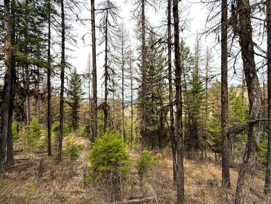 TBD Giveout Creek Rd, Wauconda, WA 98859 - photo 5