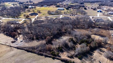 220 Amanda Dr, Weatherford, TX 76088 - photo 7