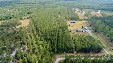 0 Wild Cur Rd, Pierson, FL 32180 - photo 6