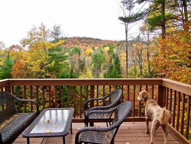 83 Tabor Cir, Albany, NH 03818 - photo 5