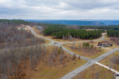 0 Hovering Hawk Dr unit 1329187, Jasper, TN 37347 - photo 5