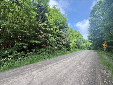 7420 Feather St, Naples, NY 14512 - photo 3