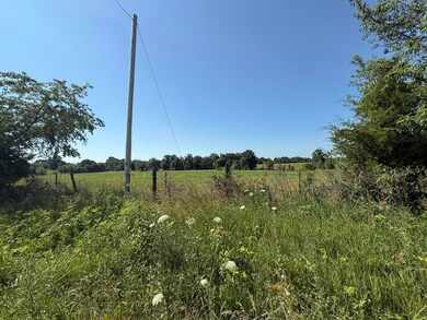 IMG_8705