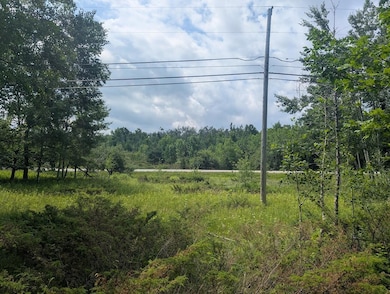 PXL_20250709_155644219