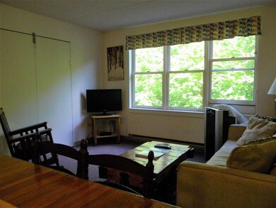 28 Packard Rd unit 332, Waterville Valley, NH 03215 - photo 4