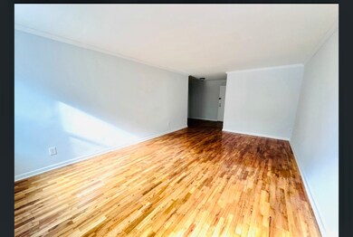 210 Atlantic Ave unit A2H, Lynbrook, NY 11563 - photo 6