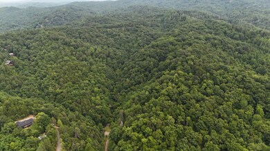 0 S King Branch Rd unit RTC2908148, Sevierville, TN 37876 - photo 5