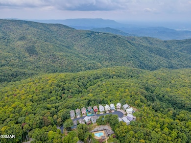1386 Ski View Dr unit 111, Gatlinburg, TN 37738 - photo 6