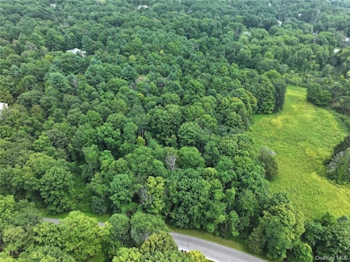 TBD Deer Run, Red Hook, NY 12571 - photo 2