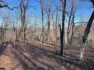 0 Mc 8060 unit 132985, Yellville, AR 72687 - photo 3