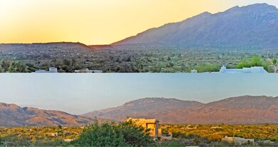 Views From Front and Back