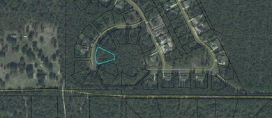 0 Daffodil Cove unit 313623, Crawfordville, FL 32327 - photo 2