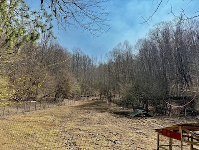 0 Nantahala School Rd, Topton, NC 28781 - photo 3