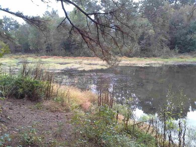 0 Maxeys Rd unit 45866, Union Point, GA 30669 - photo 6