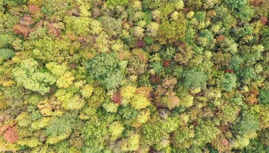 Lot 5 Granite Ridge Rd, Asheboro, NC 27205 - photo 5