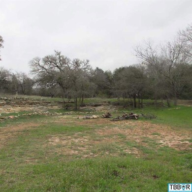 143 Deer Run, Moody, TX 76557 - photo 4