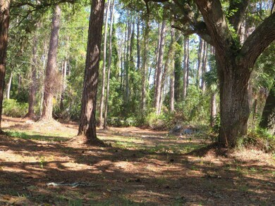 2447 Highway 98 W, Carrabelle, FL 32322 - photo 6