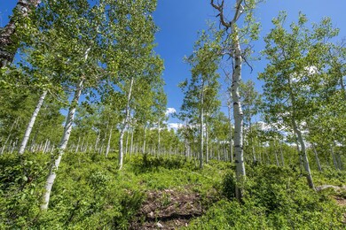 Lot-View_high_3303123