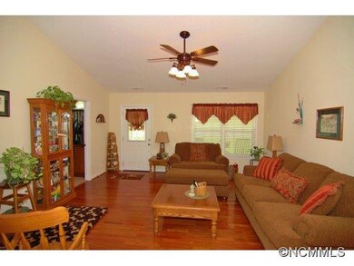 49 Jones Patton Rd, Leicester, NC 28748 - photo 2