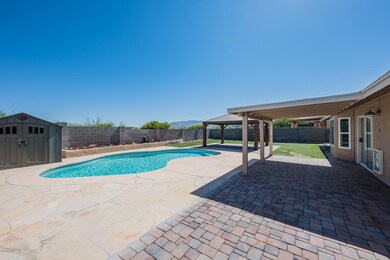 10141 back yard