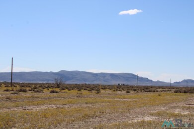 0 Piedras Rd SE unit 20231677, Deming, NM 88030 - photo 6