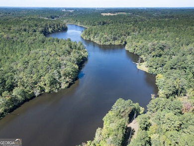 8841 Highway 11 S, Monticello, GA 31064 - photo 5