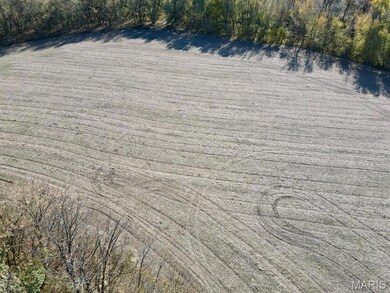 00 Patricia Rd, Germantown Township, IL 62245 - photo 7